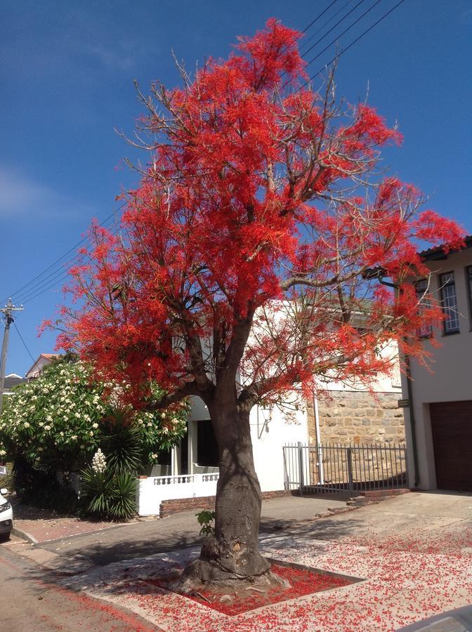Park House Lodge Mossel Bay Eksteriør billede